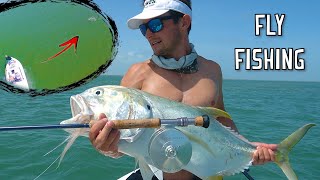 Fly Fishing Jack Crevalle Feeding Frenzy [upl. by Selie]