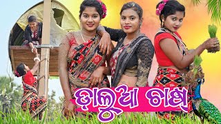 ଡ଼ାଲୁଆ ଚାଷ୍ 🌾 କେନ୍ତା ହେଲା   New Sambalpuri Comedy Video  Recent Viral Video sambalpuricomedy [upl. by Alvie803]