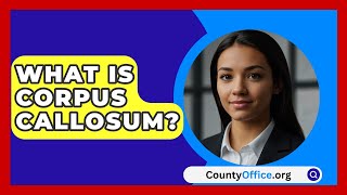 What Is Corpus Callosum  CountyOfficeorg [upl. by Elephus11]