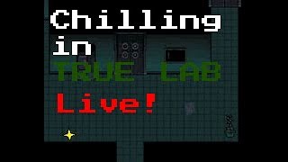 Undertale Gameplay  True lab [upl. by Onateyac]