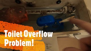 Toilet Cistern Overflowing amp how to fix it [upl. by Jolda136]