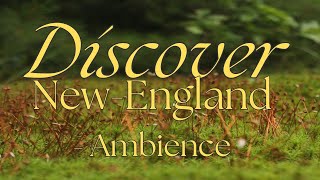 DiscoverNewEnglandAmbience Trailer [upl. by Teressa840]