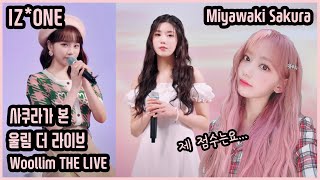 What did IZONE Miyawaki Sakura say about Woollim THE LIVE with Chaewon and Eunbi on Sakunoki [upl. by Bang]