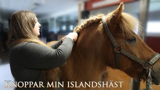 Knoppar min islandshästs man [upl. by Bonn]