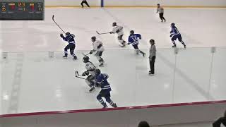 RSEQ Hockey féminin 🏒 Dawson  ChLennoxville 11232024 [upl. by Ydde670]