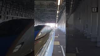 Underground Speed Rush Japan Bullet Train in Action 😲 Subscribe For More viral train [upl. by Airel]