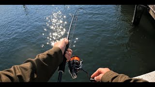 Bay Fishing For Bream In Heavy Structure  Big Bream [upl. by Mcgray642]