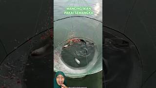 MENJARING IKAN PAKAI SEMANGKA fish fishing experiment amazingfacts [upl. by Nednerb]