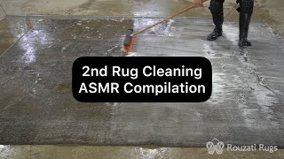 2nd Rug Cleaning ASMR Compilation asmr rugcleaning oddlysatisfying [upl. by Ardyce]