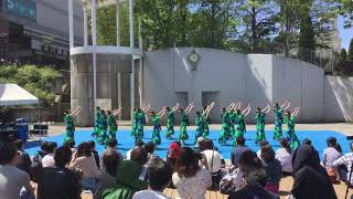 Ka Nae Pakalana センター南祭り2019 Mahana Hula Studio マハナフラスタジオ [upl. by Lienet985]