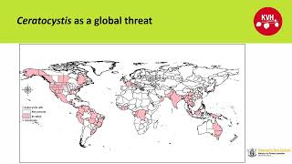 Ceratocystis fimbriata a global threat  Matt Dyck KVH [upl. by Nrubliw]