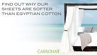 Softer Than 1000 ThreadCount Egyptian Cotton  Cariloha Bamboo Sheets [upl. by Koball]