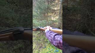 Had fun doing some skeet shooting with the double barrel shotgun [upl. by Etteve]