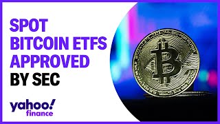 SEC approves spot bitcoin ETFS [upl. by Aihsinat]