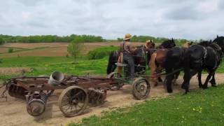 Amish farming  6horse power plow [upl. by Bunns400]