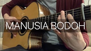 Manusia Bodoh  Ada Band Fingerstyle Guitar Cover [upl. by Osborne]