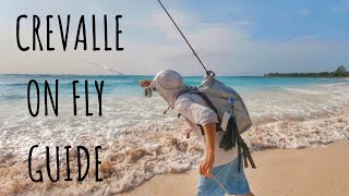 How to catch BEACH JACK CREVALLE on fly step by step [upl. by Hynda209]