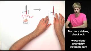 Food Calorimetry Lab Explanation [upl. by Brennen]