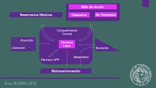 Área Injuria  FARMACOCINÉTICA [upl. by Kissner]