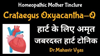 Crataegus OxyacanthaQ  Homeopathic Mother Tincture  DrMahavir Vyas [upl. by Cathryn809]