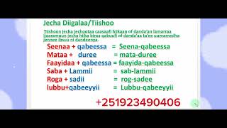 Afaan Oromoo Jechoota DiigalaaTiishoo study Afaan OromooAmharic English letters [upl. by Alain]