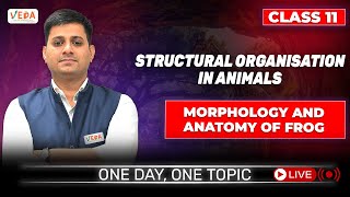 Anatomy of Frog  Structural Organisation in Animals  class 11  Biology  One Day One Topic [upl. by Juana832]