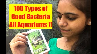 How to use Good Bacteria in your Aquarium  ADA Super 4 Bacteria  How to have Crystal Clean Water [upl. by Virgilia256]