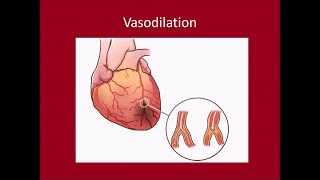 Cardiac Biomarkers [upl. by Gord838]