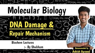 DNA Damage And Repair Mechanism  Molecular Biology  Biochemistry lectures  Ashish [upl. by Leibrag779]