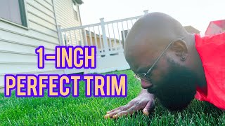 Trimming Tall Fescue to a Perfect 1Inch Lawn Care Tips [upl. by Ahrens]