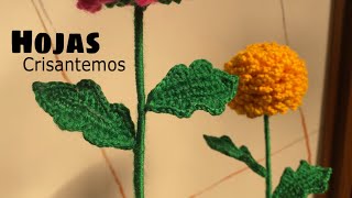 ¡Solo necesitas una madeja Cómo tejer una hoja para tus flores a crochet [upl. by Nivek]