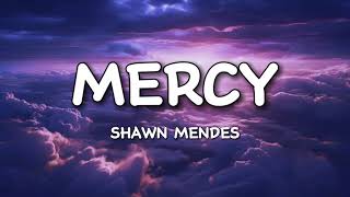 Shawn Mendes  Mercy Lyrics [upl. by Ahtnams]