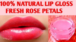 Homemade Lip Gloss  Homemade Lip Balm  Organic Rose Lip Balm  Pink Lips  Aloe Vera Lip Balm [upl. by Amity]