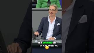 Alice Weidel Warum die Union Deutschland am Abgrund führt [upl. by Zelten]