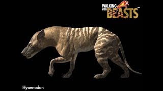 TRILOGY OF LIFE  Walking with Beasts  quotHyaenodonquot [upl. by Renelle]