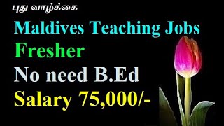 How to get job in Maldives how to get teacher jobs in MaldivesMaldives jobs Maldives jobs Tamil [upl. by Nimajaneb]