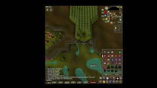 Bryophyta OSRS F2P [upl. by Jew]