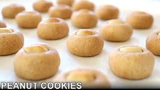 Buttery Crumbly Peanut Cookies  Classic Chinese New Year Recipe  花生饼 [upl. by Silliw]