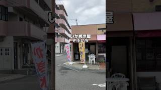 いか焼きさぶいち さぶいち イカ焼き チヂミ 阪南市 阪南市テイクアウト 箱作駅 阪南市グルメ 大阪イカ焼き [upl. by Elena]