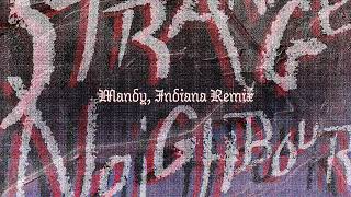 Folly Group  Strange Neighbour Mandy Indiana Remix Official Audio [upl. by Hannon]