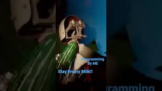 Rock Afire Remake 128  STAY FROSTY MILK TEA 👉Link for video in comments 👈 [upl. by Evadnee152]