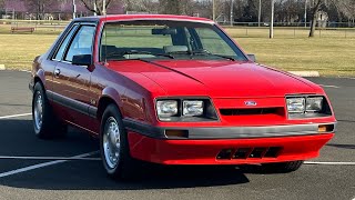 1986 mustang notchback 50 5 speed 65k documented miles STUNNING [upl. by Erminie]