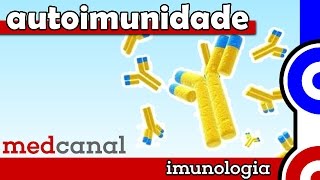 Autoimunidade  IMUNOLOGIA Vídeo 11 [upl. by Yruj]