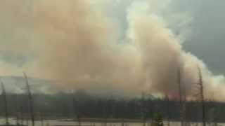 Spreading Creek Wildfire July 2014 [upl. by Nalek]