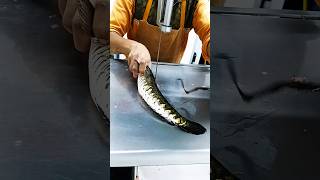 Omg giant live river shoal fish cutting skills video fish cutting show shorts reels youtube [upl. by Thornton]