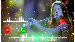 Hay re meri Moto flute song [upl. by Pirbhai280]