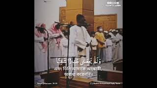 Very Beautiful Quran Recitation by Sheikh Muhammad Hady Toure  Surah Maryam 3035 [upl. by Nujra]