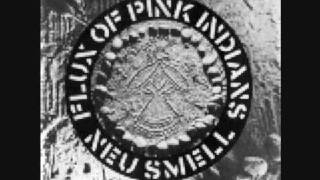 Flux of Pink Indians  Tube Disasters Good quality [upl. by Nnylarej]