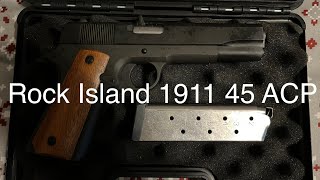 Testing the Rock Island M1911 GI standard FS 45 ACP on a little fridge will it penetrate [upl. by Ranna]