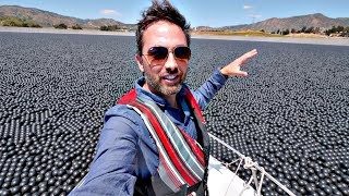 Why Are 96000000 Black Balls on This Reservoir [upl. by Devine]